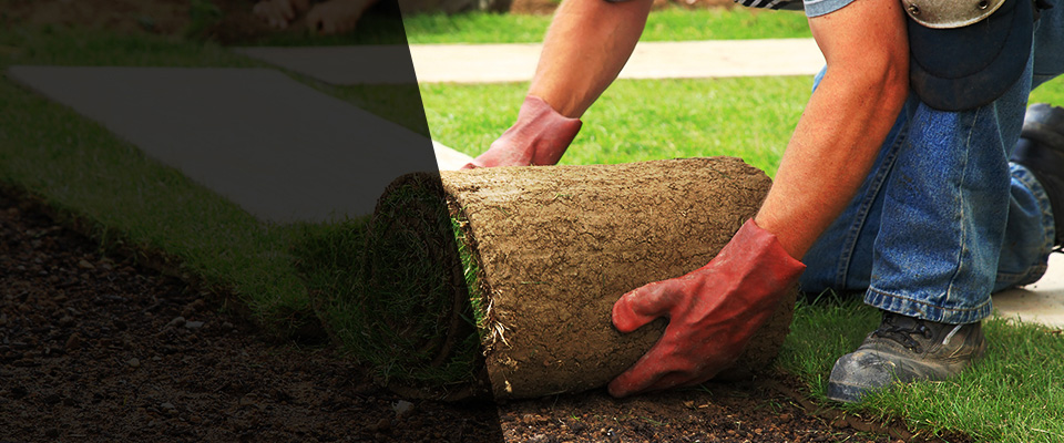 Pipersville Landscapers